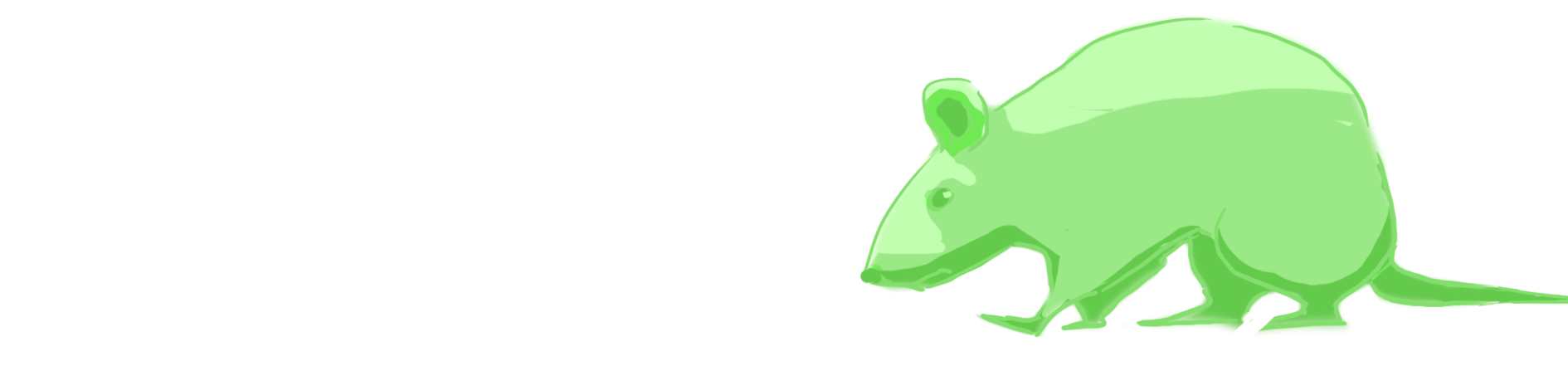RANDA.gif