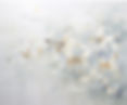 IMG_5163.jpeg