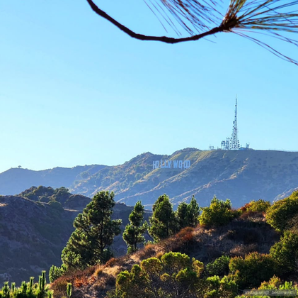View of the mountain topped with the Hollywood sign from Griffith Park.