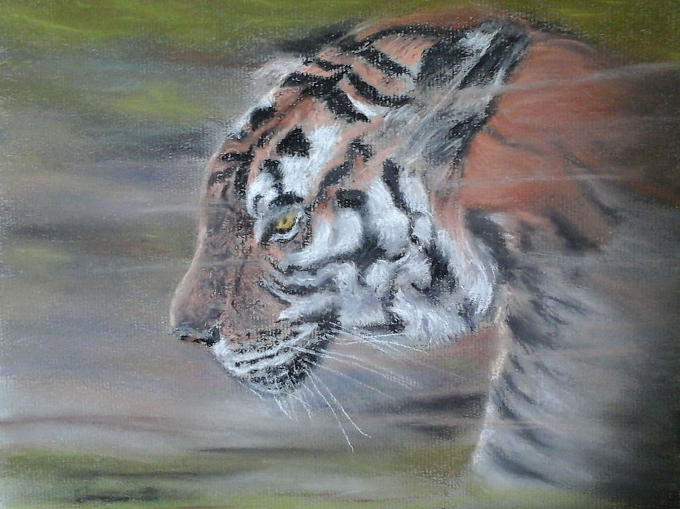 le tigre