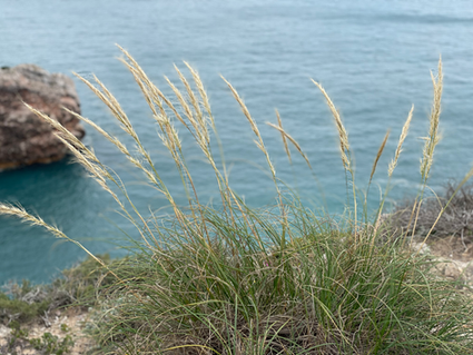 Kun työyhteisö kohtaa trauman