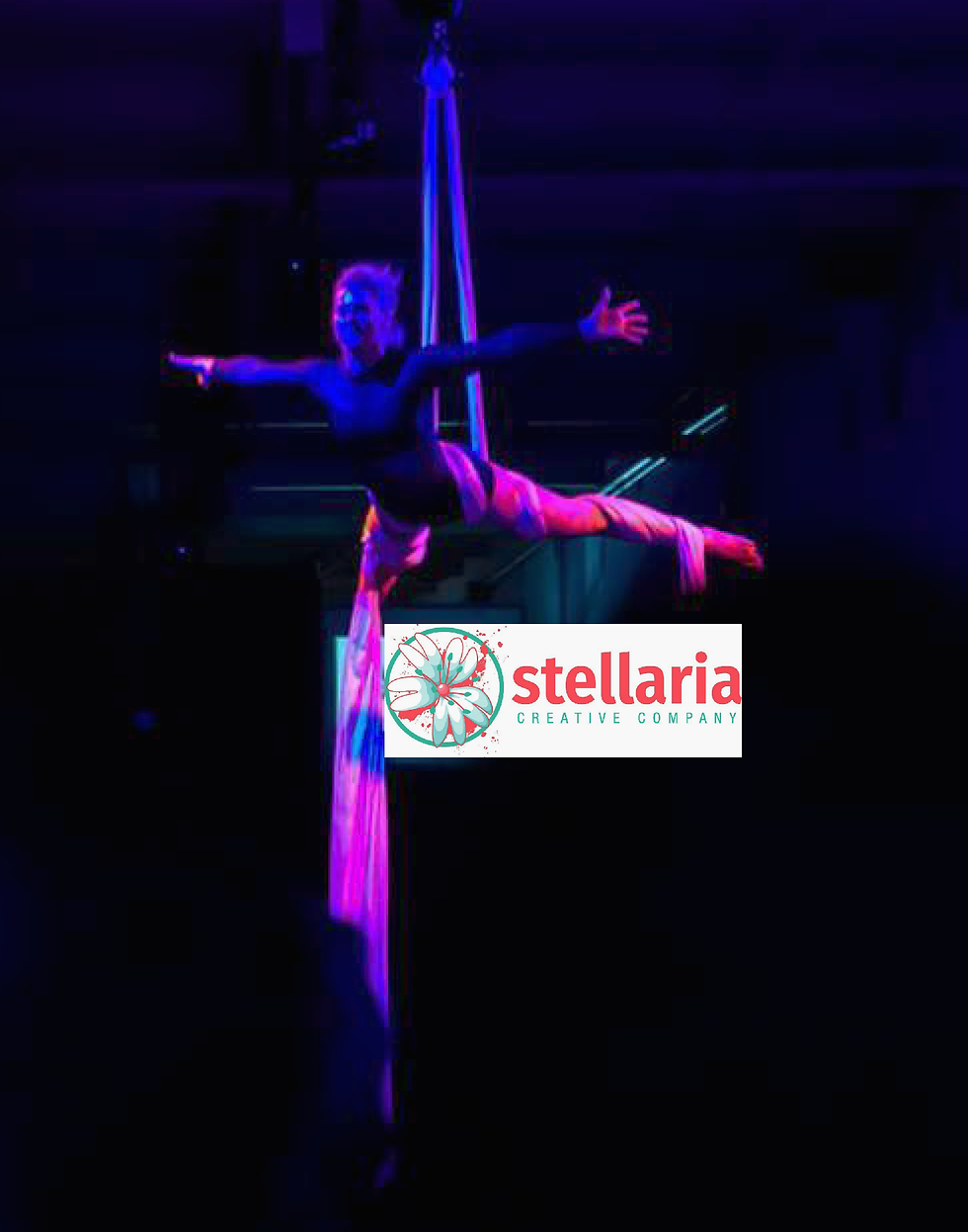 Stellaria Silks Drop