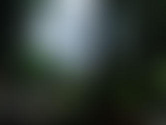 Harrison Hot Springs...