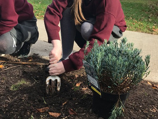 Redeveloping - Gardening Club