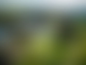 Qualifying results in Rotorua