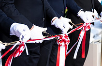 29102743_m.jpg