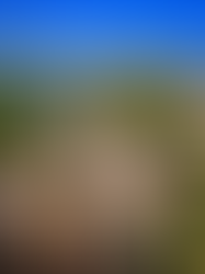 The Golan Heights Unveiled: A Journey Through History, Strategy, and Military Significance
