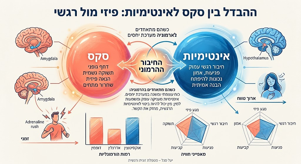 אינפוגרפיקה המסבירה את ההבדל בין סקס לאינטימיות ואת הקשר בין חיבור רגשי לקרבה פיזית.