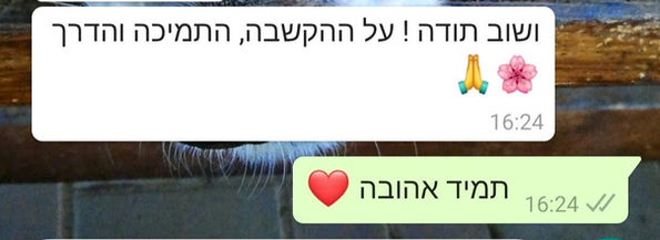 ושוב תודה על ההקשבה, התמיכה והדרך