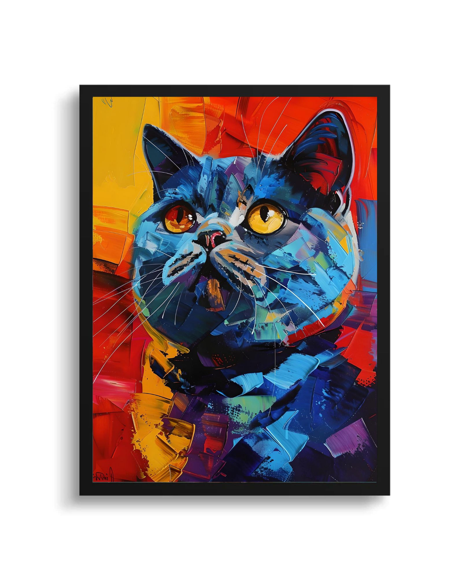 British Shorthair Ankara