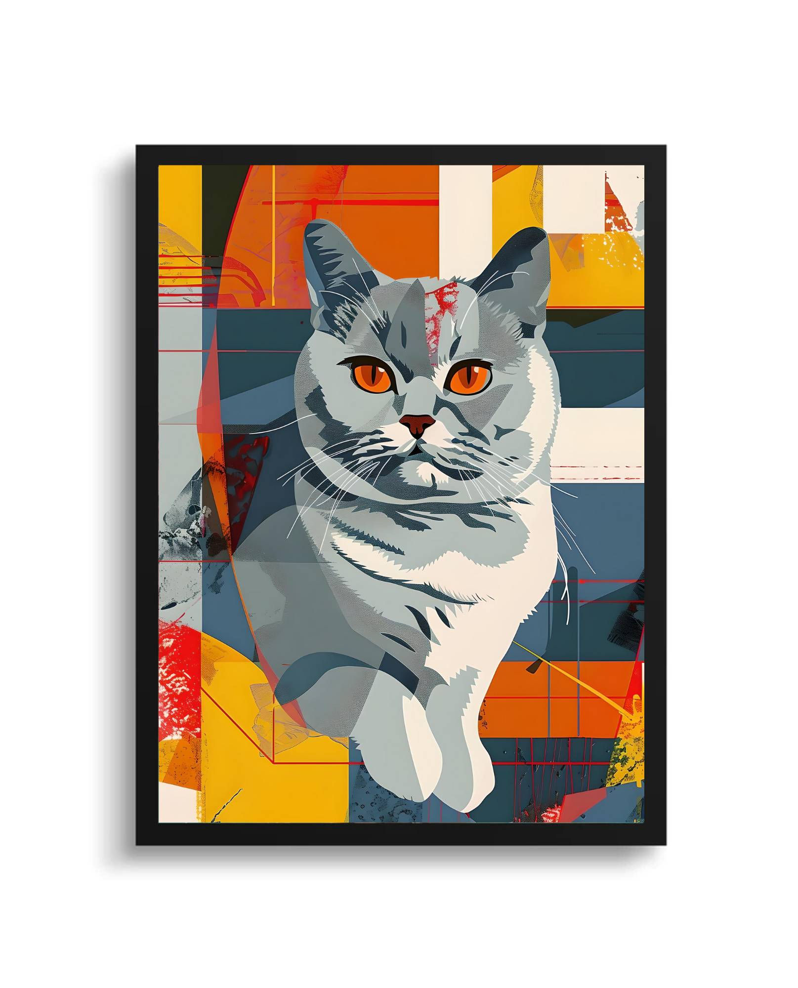 British Shorthair Toronto