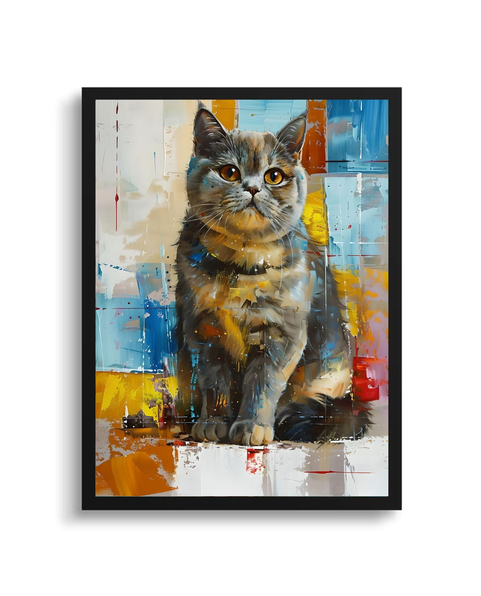 British Shorthair Glasgow