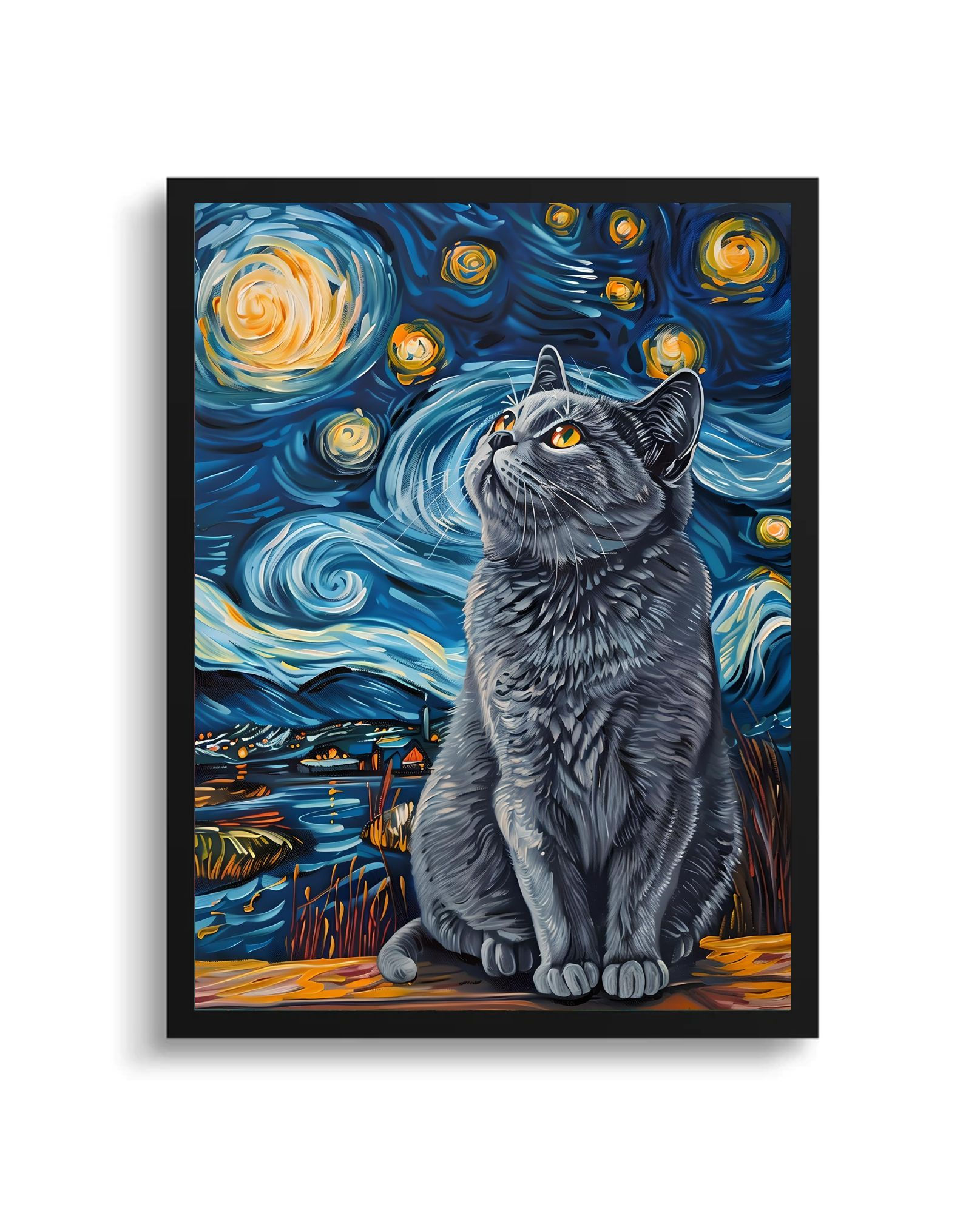 British Shorthair Amsterdam