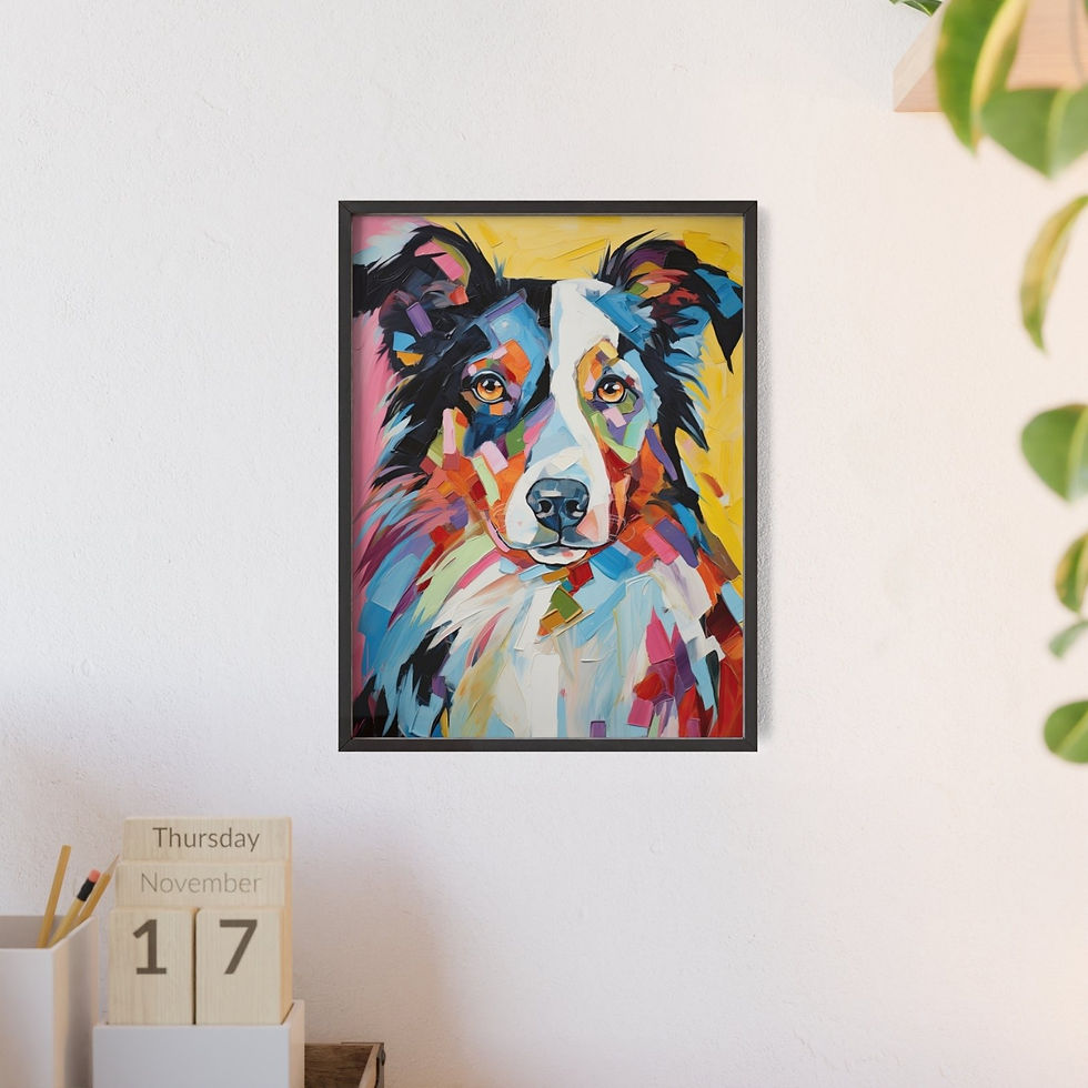 Küçük resim: Border Collie Venice