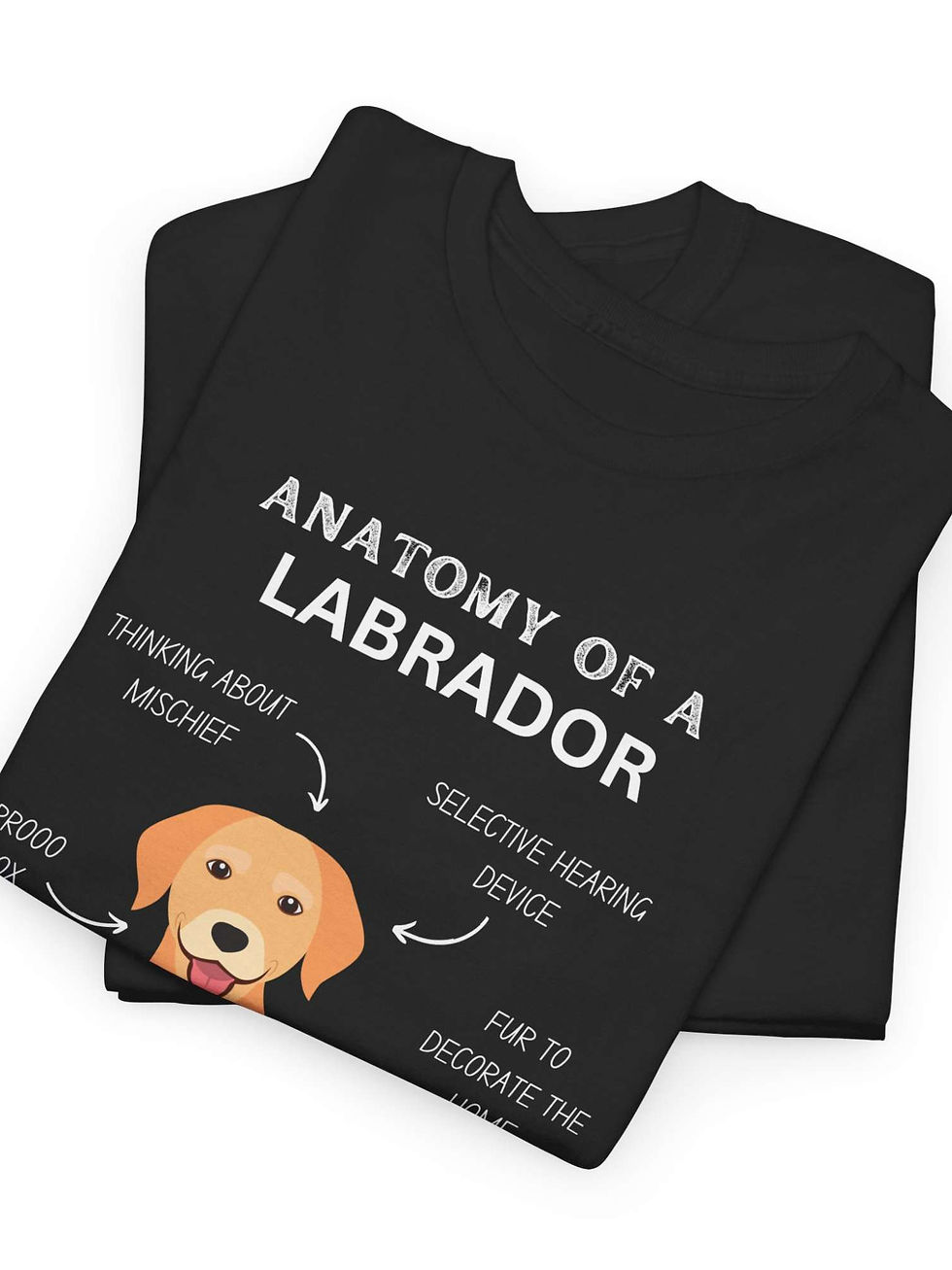 Küçük resim: Labrador Tişört Anatomy