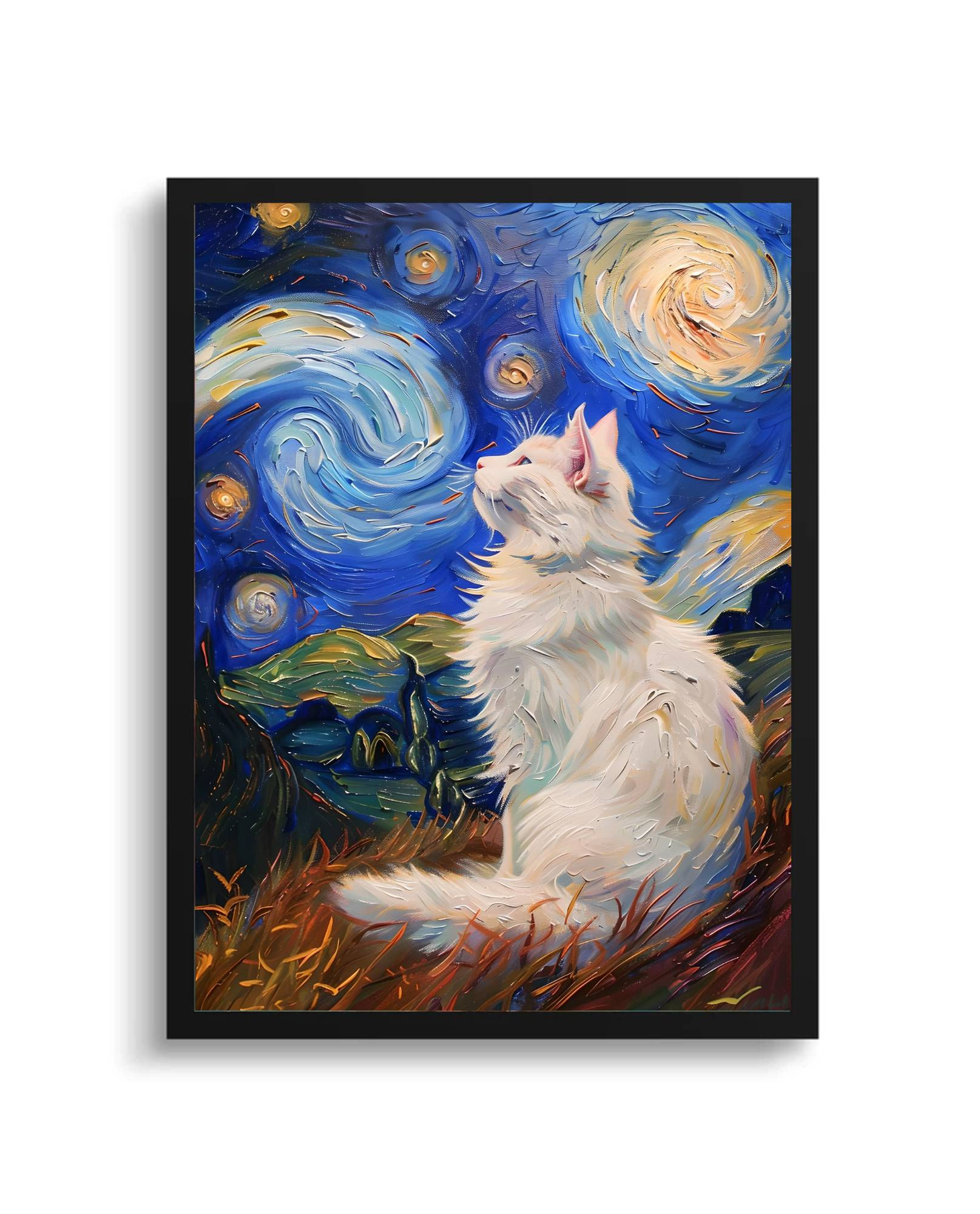 Beyaz Kedi Rotterdam