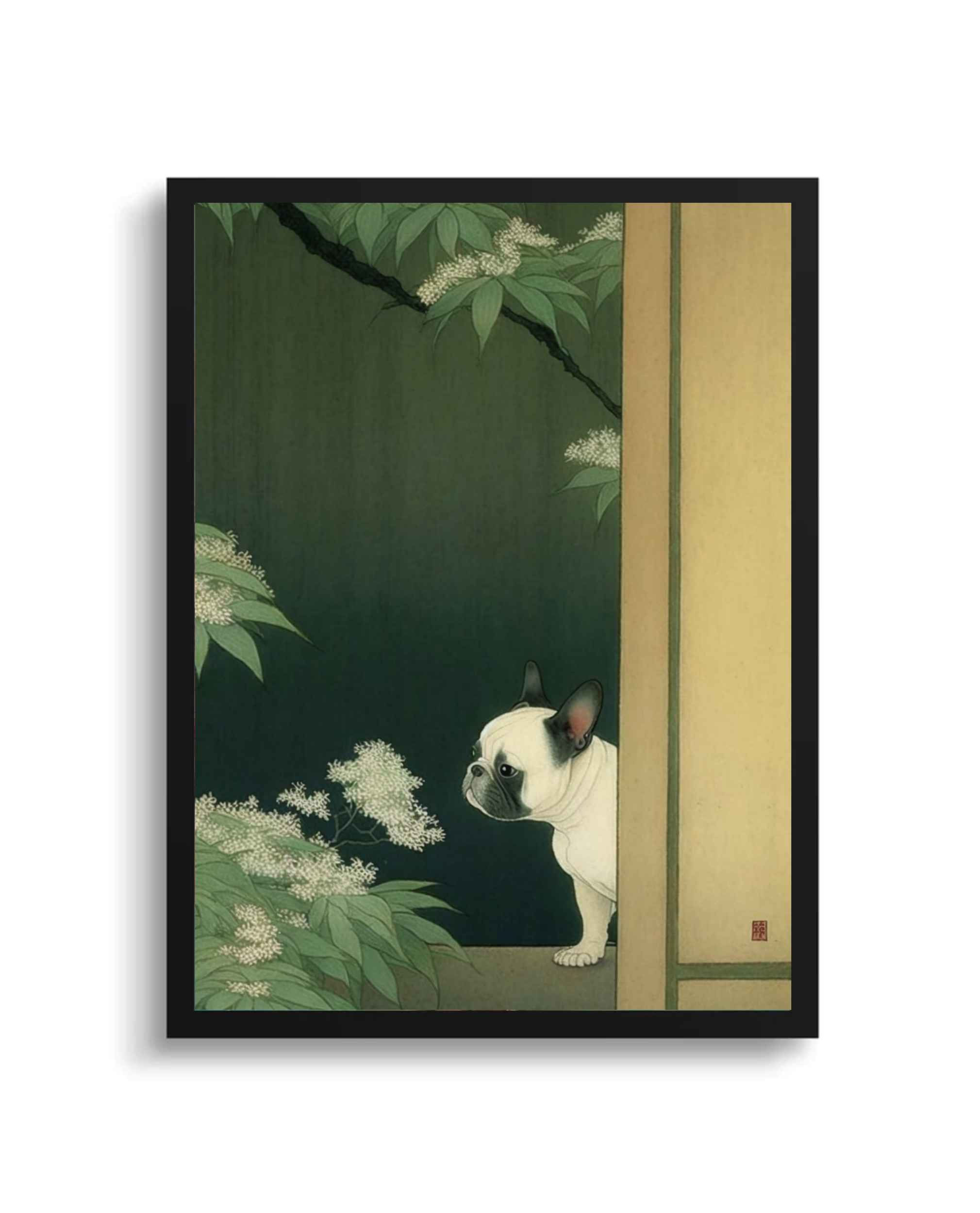 Fransız Bulldog Kyoto