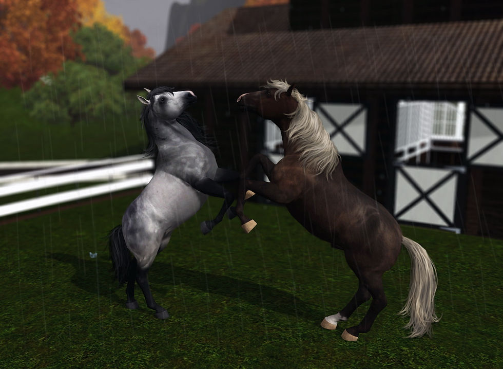 Screenshot-25.jpg