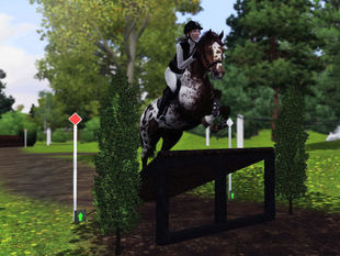 Rainwood Equestrian Competitions 2015: Cross Country 2.
