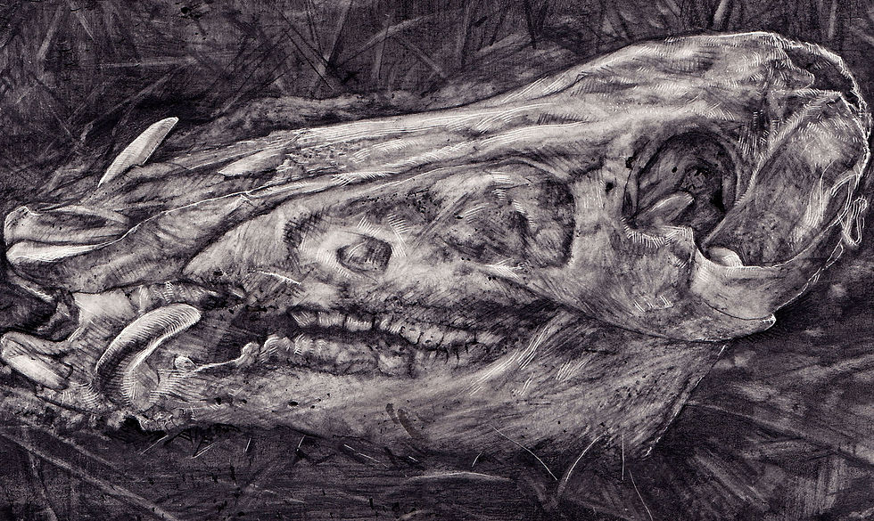 Miniatura: detailed graphite drawing
