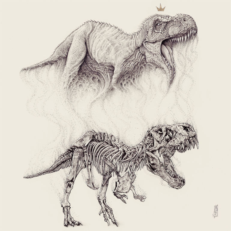 T Rex study drawing art print by Dakos