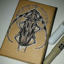 Longhorn beetle study