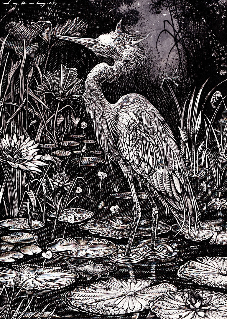 Fantasy creature Long Eared Heron drawing by Dakos