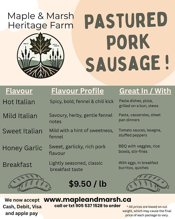 1dc0de50-c170-469e-8138-b22fc04fbc4d.jfif