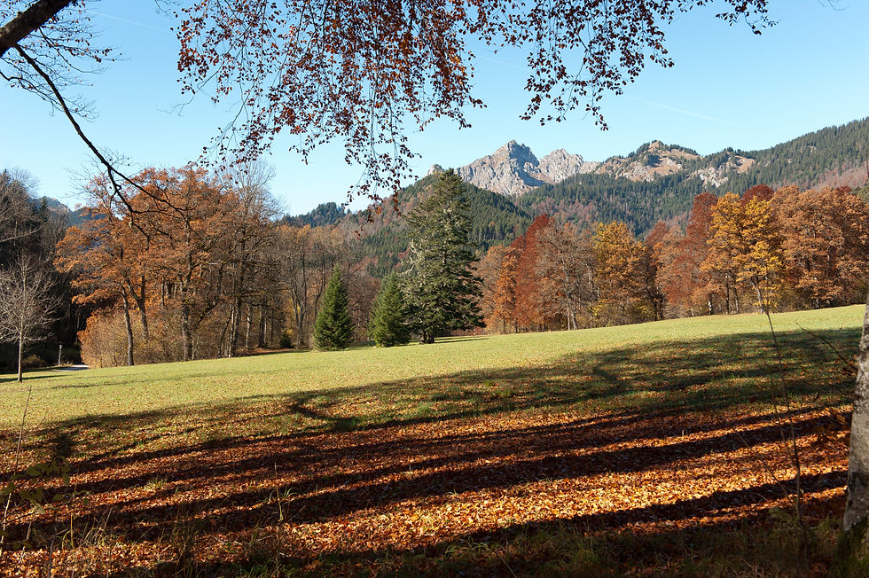 Park Schloß Linderhof