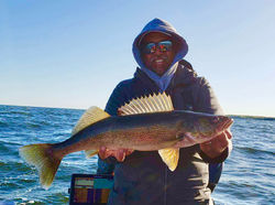 Resized952022051795072555 2