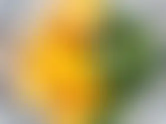 The Third Space: Why the Modern Café Is Where Wellness and Connection Meet