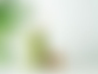 The Café as Ritual, Not Routine