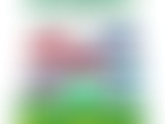 オートサロン出展記念特別価格 第二弾!! 定価:65,000円→ 特別価格:45,000円