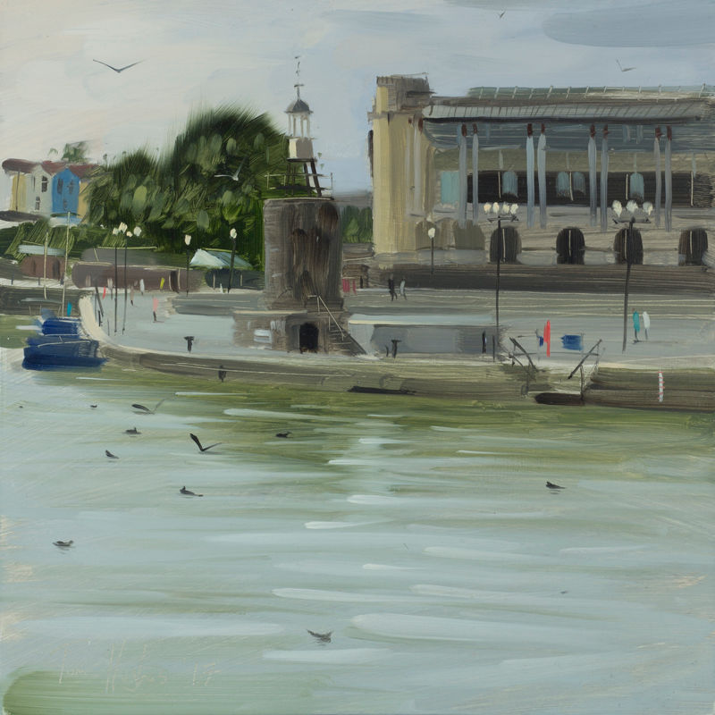 Bristol Floating Harbour with Birds, August