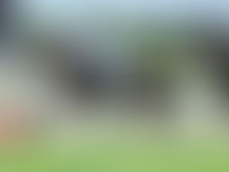 4月8日 注目オカルト馬