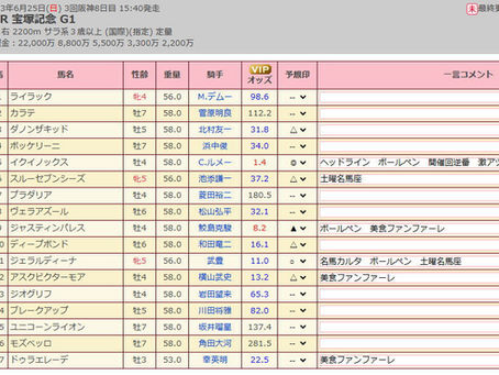 G1攻略 宝塚記念②