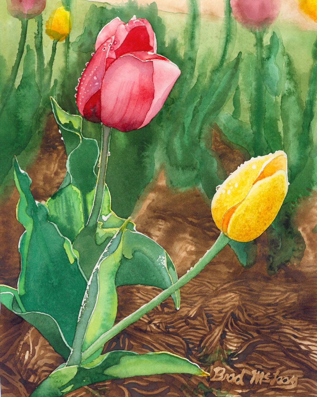 Tulip Tango Giclée