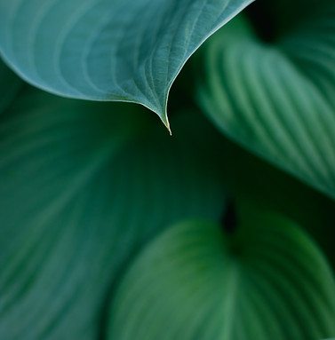 greg-rosenke-QfhPRBGk-ZE-unsplash.jpg