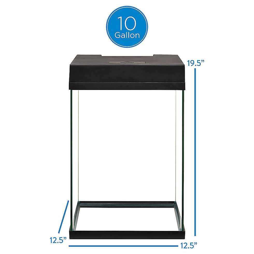 Thumbnail: Neptune's Realm