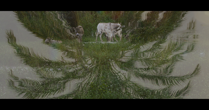 Screenshot 2025-01-06 at 08.29.06.png