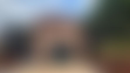 울산대공원, 사회적기업 숲속의작은친구들 협업을 통한 멸종위기 곤충 보호 캠페인 진행