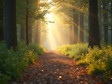 Finding Peace in Psalm 5: A Reflection on Trust and Guidance