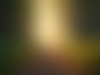 Finding Peace in Psalm 5: A Reflection on Trust and Guidance