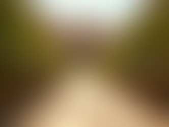 Exploring the Themes and Insights of Mark Chapter 11 in the Bible