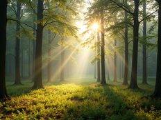 Finding Refuge in the Secret Place of the Most High