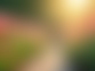 Exploring the Fruits of the Holy Spirit in Daily Life