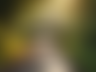 Understanding the Impact of Luke 10 on Modern Spiritual Practices