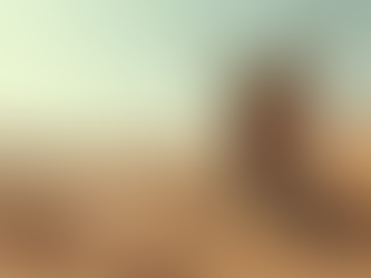 Understanding the Significance of Exodus 27 in Religious Context