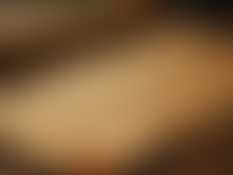 Understanding the Significance of Matthew 24 in Biblical Prophecy