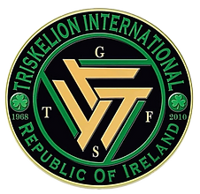 TIROI logo